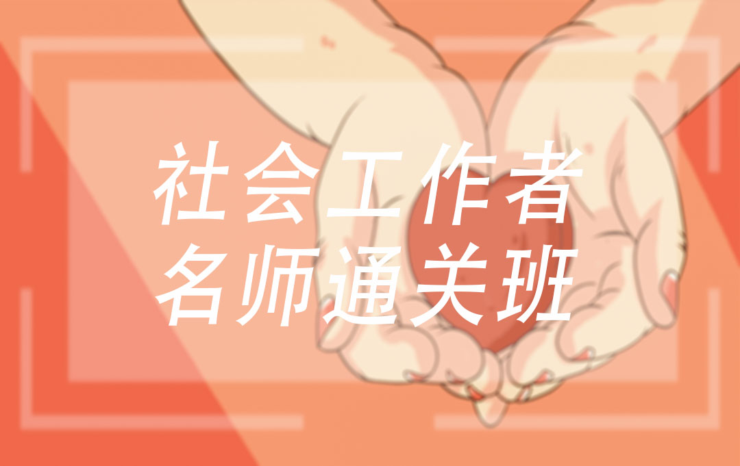 社会工作师(中级)——名师通关班